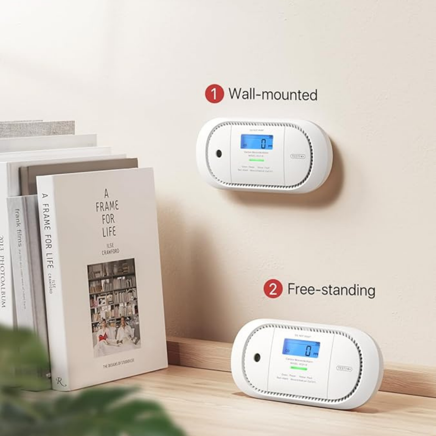 Carbon Monoxide Detector Alarm