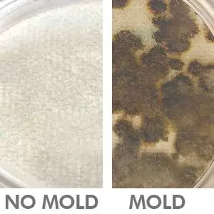 Indoor Air Quality Test Kit for home